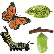 Resim 4 Parça Monarş Kelebek Yaşam Döngüsü Kiti - Gençler için Canlı PVC Öğretim Araçları, Beyaz/Yeşil/Sarı/Siyah Renklerde Yumurta, Larva, Pupa ve Yetişkin Aşamalarını İçeren, Kelebek Aplike 