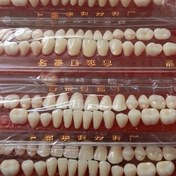 Resim 28 adet/Set Reçine Dişler Diş Malzemeleri Renkleri Ton Kılavuzu Dişler Ağız Malzemeleri Reçine Dişler Modeli Sahte Dişler 