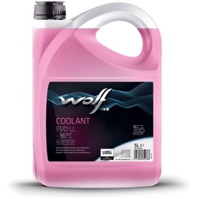 Resim Coolant Evo Ll -36 C 5l Antifiriz 