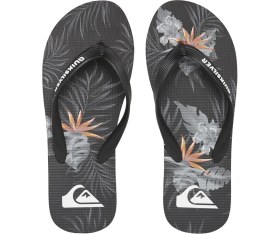 Resim Quiksilver Molokai Everyday Paradise Erkek Sandalet AQYL101188 