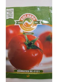 Resim Domates Tohumu 1 Paket 