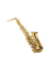 Resim Trevor James The Horn Alto Saksofon 