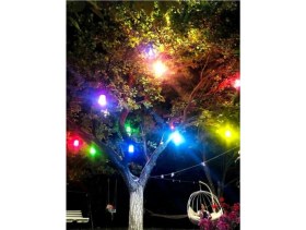 Resim Mavi 10'lu Bahçe Dekoratif Ağaç Fenerleri, Şık ve Sıcak Atmosferler Için 