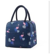 Resim Kadınlar İçin Yalıtımlı Öğle Yemeği Çantası, Soğutucu Çanta Su Geçirmez Tote Çanta Termal Düzenleyici Çok Renkli 