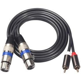 Resim 366156-15 2 RCA Erkek-2 XLR 3 Pin Dişi Ses Kablosu 