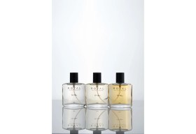 Resim Royal Platinum M504 ERKEK PARFÜM 