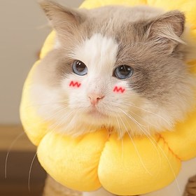 Resim Kedi Elizabeth Yaka, Evcil Hayvanların Saçlarını ve Yaralarını Yalamasını Etkili Bir Şekilde Önler, Sevimli Çiçek Tasarımı, Kediler ve Küçük Köpekler İçin Uygun 