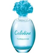 Resim Gres Cabotineturquoise Edp 100 Ml 7640473481116 Diğer 