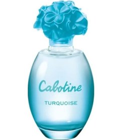 Resim Gres Cabotineturquoise Edp 100 Ml 7640473481116 Diğer 