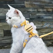 Resim Kedi Göğüs Kayışı Seti Kaçma Önleyici Özel Çekiş İpi Kedi İpi H Yazılı Kırmızı Ayarlanabilir Göğüs Kayışı Kedi İpi 