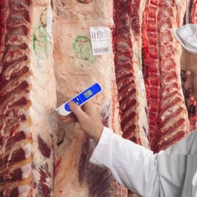 Resim Loyka Amt 206 Lazerli ve Daldırma Problu Gıda Termometresi 