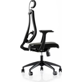 Resim Goldsit Ergonomik Fileli Yönetici Koltuğu 