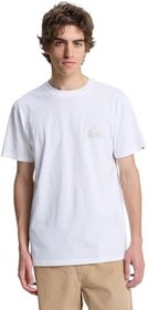 Resim Quiksilver Ev Mini Logo Ss Tişört Erkekler 