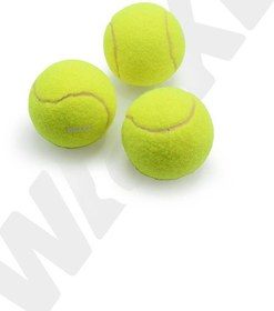 Resim Başlangıç Seviye Antrenman İçin 3 Adet Tenis Topu 