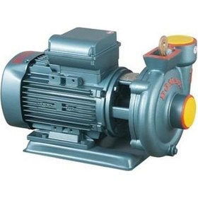 Resim Domak Slg3 2hp 220 V Monoblok Elektropomplar 