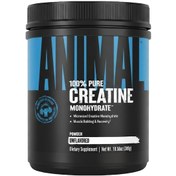 Resim Universal Animal Creatine Monohydrate 300 Gr Standart 