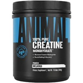 Resim Universal Animal Creatine Monohydrate 300 Gr Standart 