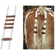 Resim Prolabsus Bandajı 