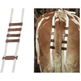 Resim Prolabsus Bandajı 