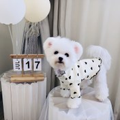 Resim Her Mevsim Köpek Kazak - Küçük, Orta & Büyük Irklar için Kayma-on Yavru Köpek Gömleği - Teddy Bichon için Beyaz & Siyah Kıyafet, Fotoğraf Çekimleri, Günlük Giyim - Kolay Elde Yıkanabilir Evcil Hayvan Giysisi, Küçük Köpekler için Köpek Kazakları, Köpek Fotoğraf Çekimi Kıyafeti, Puantiye Tasarım, Rahat Petwear, Şık Petwear, Nefes Alabilen Malzeme, Küçük Irk Köpekler 