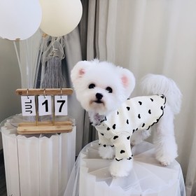 Resim Her Mevsim Köpek Kazak - Küçük, Orta & Büyük Irklar için Kayma-on Yavru Köpek Gömleği - Teddy Bichon için Beyaz & Siyah Kıyafet, Fotoğraf Çekimleri, Günlük Giyim - Kolay Elde Yıkanabilir Evcil Hayvan Giysisi, Küçük Köpekler için Köpek Kazakları, Köpek Fotoğraf Çekimi Kıyafeti, Puantiye Tasarım, Rahat Petwear, Şık Petwear, Nefes Alabilen Malzeme, Küçük Irk Köpekler 