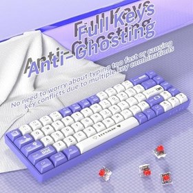 Resim Coverzone AJAZZ AK680 65% Kablolu Hotswap Mekanik Oyun Klavyesi,68 Tuşlu Taşınabilir Anti-Ghosting Klavye,Gökkuşağı Arkadan Aydınlatmalı Programlanabilir,EVA Sandviç,Ergonomik Mor Beyaz/Red Switch 