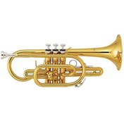 Resim Jinbao JBCR900L Kornet (Lacquer) 