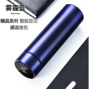 Resim Oein 304 Paslanmaz Çelik Termos Kupası Akıllı Ekran Erkek ve Kadınlar Için Vakum Su Kupası Öğrenciler Yüksek Değerli Ofis Kupası Kapasitesi500MLA-Bwb-Mavi (Yurt Dışından) 