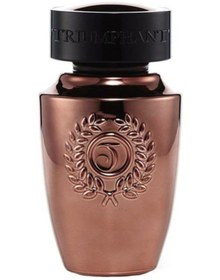 Resim triumphant Erkek Parfüm Bronze Glory Edt 100 Ml 
