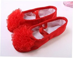 Resim Holibanna 2 Çift Bayan Düz Elbise Ayakkabıları Katlanabilir Terlik Bayan Deri Slaytlar Jimnastik Bale Antrenman Ayakkabısı Kızlar Için Terlikler Kız Daireler Kızarmak Yoga Bayanlar Kırmızı 