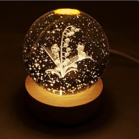 Resim Kedi Ve Çiçek Motifli Cam Küre 