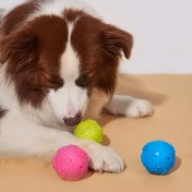 Resim Küçük Irklar İçin Karikatür Pati Baskılı Sesli Kauçuk Köpek Oyuncağı Top - Dayanıklı Çiğneme ve Diş Sağlığı Evcil Hayvan Oyuncağı, Golden Retriever, Teddy 