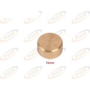 Resim Puga Motor Blok Su Tapası 14mm Sarı Pırınc AT00-PG-MST015 