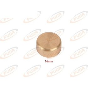 Resim Puga Motor Blok Su Tapası 14mm Sarı Pırınc AT00-PG-MST015 