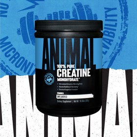 Resim Universal Animal Creatine Monohydrate 300gr 