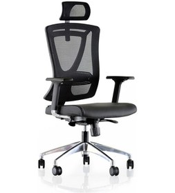 Resim Dekofis Goldsit Ergonomik Yönetici Koltuğu 