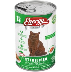 Resim Energy Somonlu Kısırlaştırılmış Yetişkin Kedi Maması 10 x 415 G 