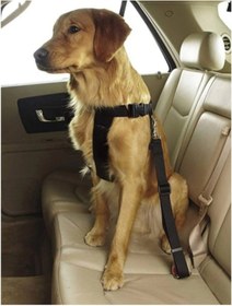 Resim Ankaflex Evcil Hayvan Araç Emniyet Kemeri (536123905) 