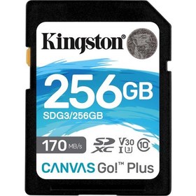 Resim Canvas Go Plus 256GB Class 10 USH-I Hafıza Kartı SGD3/256GB 