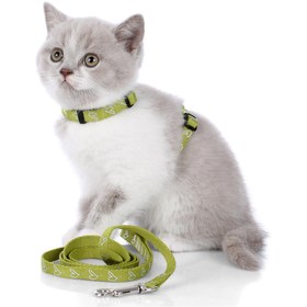 Resim Laura Kedi Göğüs Tasması ve Kayışı - Açık Yeşil 
