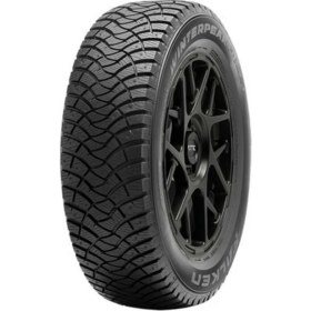 Resim Falken 215/55 R16 97T Xl Winter Peak F-Ice1 Oto Kış Lastiği (Üretim Yılı:2023) 