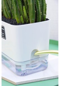 Resim Otomatik Sulamalı Dikdörtgen Akıllı Saksı 25 X 12.5 X 14 Cm 