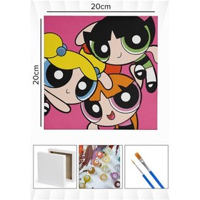 Resim Sayılarla Boyama 20x20 Cm Tuval Seti Fırça Boya Dahil Çıtaya Gerili - Power Puff 