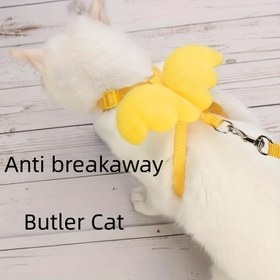Resim Kedi Tasma Kanat Süsü Yürüyüş Kedi Göğüs Tasmaları ve Tasma Seti Küçük Köpek Tasma Evcil Hayvan Aksesuarları 
