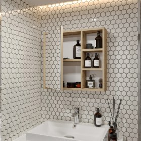 Resim Rosepal Mobilya Banyo Tuvalet Aynalı Lefkas Dolap 65' 