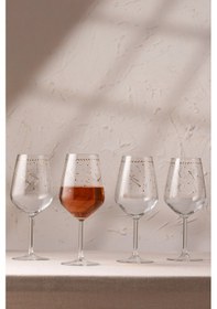 Resim Rakle Dragonfly 4'lü Su Kadehi Seti 430 Cc Renkli 