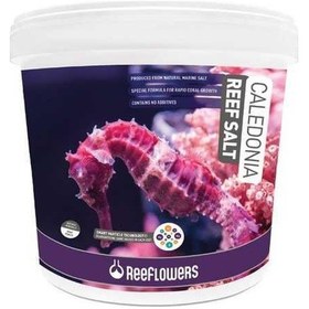 Resim Reeflowers Caledonia Reef Salt Akvaryum Deniz Tuzu 22.5 KG 