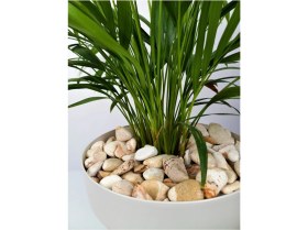 Resim Sarı Çizgili Dolomit 5 Kg, 2-4 Cm, Bahçe, Dere, Akvaryum, Çakıl Taşı 
