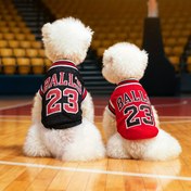Resim Basketbol Takımı Evcil Hayvan Kıyafeti Küçük Irk Köpek Giysisi Rahat ve Şık Moda Kıyafet 