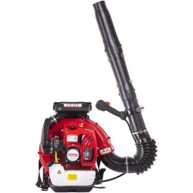 Resim Palmera EB-985 Eur5 Üfleme Makinesi Sırt Tipi 